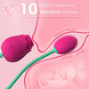 Rechargeable Rose Vibrating Sucking Quiet Silicone Egg with multiple modes